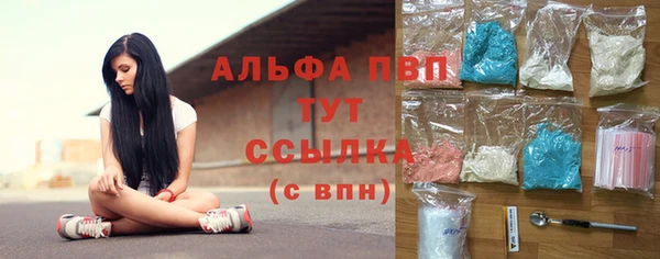 крисы Верея