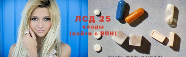 крисы Верея