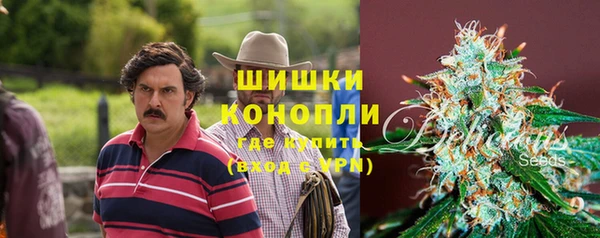 spice Верхний Тагил