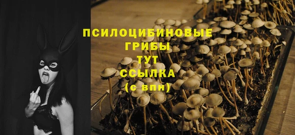 spice Верхний Тагил